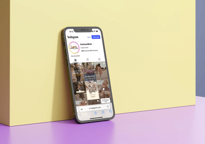 Fuchs und Kiwi - Social Media