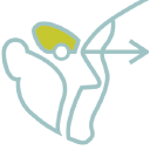 FACE Interactive logo