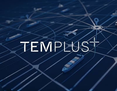 TEM Plus: - Webseitengestaltung
