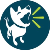 BARQAR Digital Marketing