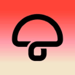 Mushroom Group