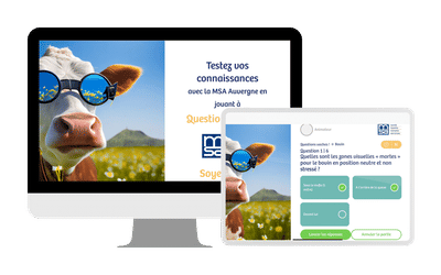 Création d'un jeu sur-mesure (Quizz) pour la MSA - Webanwendung
