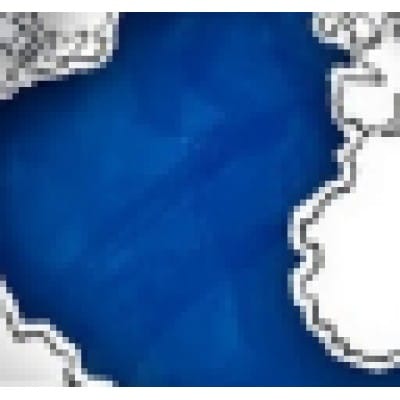 Blue Globe Marketing