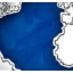 Blue Globe Marketing logo