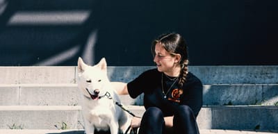 Sans Collier : protection animale en Belgique depuis 1972 - Website Creatie