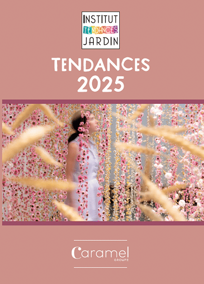 ISCJ - ACCOMPAGNEMENT TENDANCES - Innovation