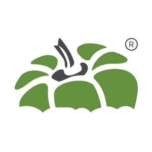 Capsicum Mediaworks