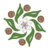 anvitam logo