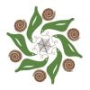 anvitam