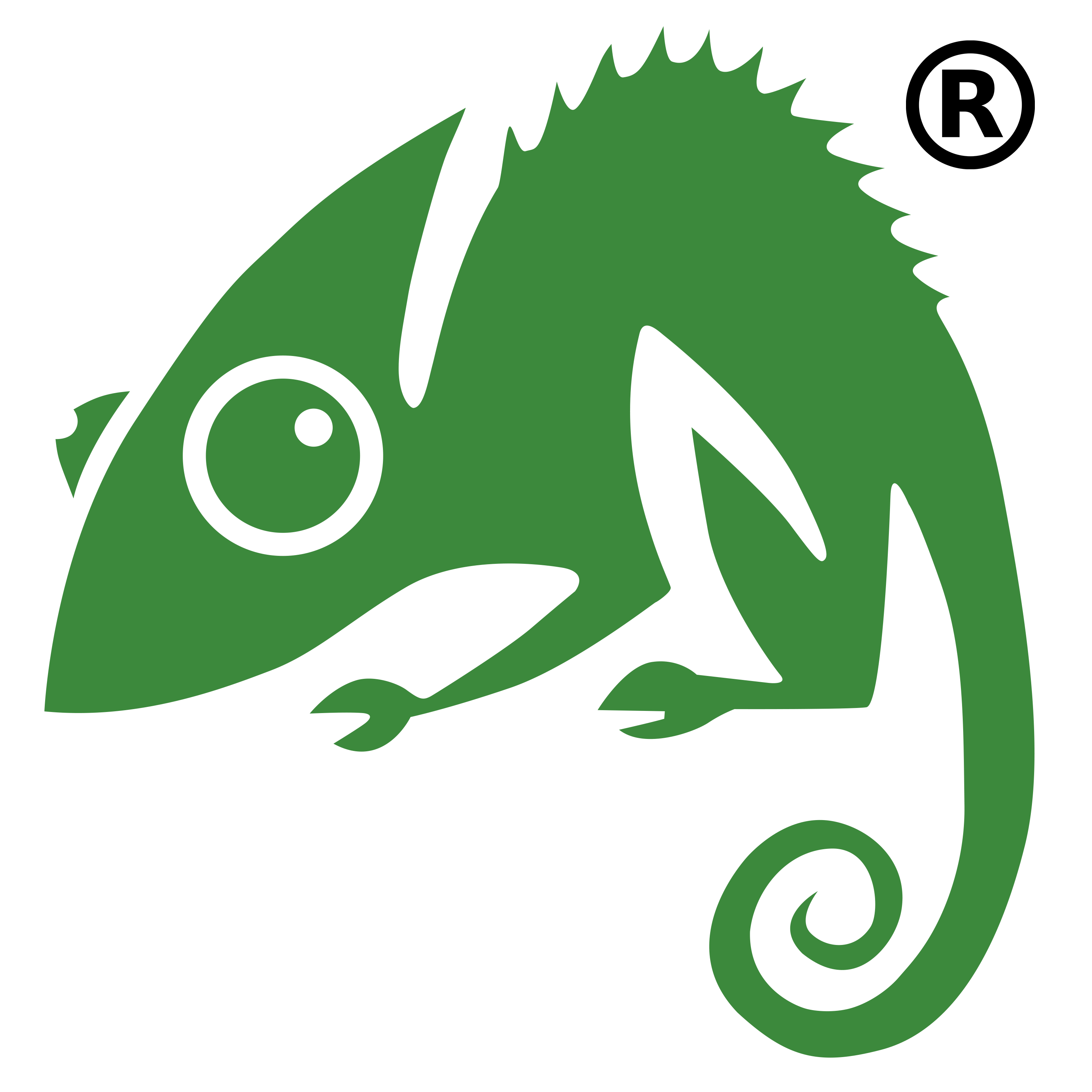 Chameleon Web Services