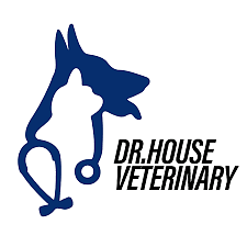 Dr House Vet - Branding & Positioning