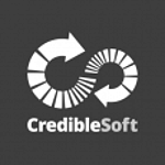 CredibleSoft Technology Solutions logo