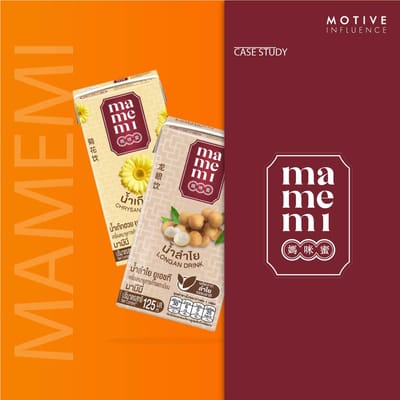 100+ Influencer Campaign for Mamemi - Influencer Marketing
