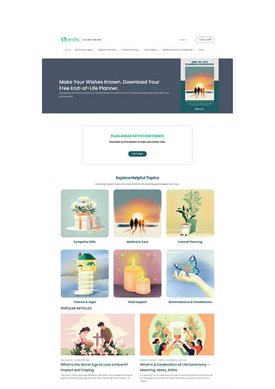 E-commerce Website – Endly - Website Creation
