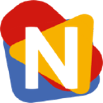 NETRISE Internet Company logo