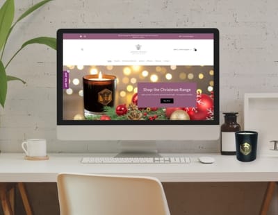 Ecommerce Shopify Website Build and Marketing - E-commerce