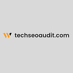 techseoaudit.com