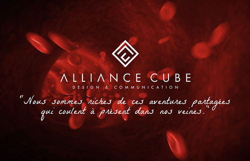 ALLIANCE CUBE cover
