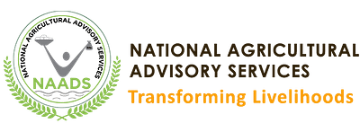 NATIONAL AGRICULTURAL ADVISORY SERVICES -  NAADS - Digitale Strategie
