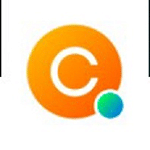 C Level