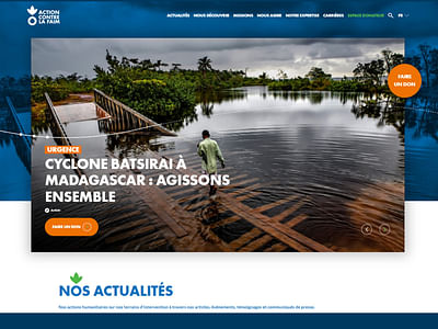 Action contre la faim - Usabilidad (UX/UI)