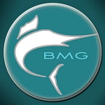 Big Marlin Group logo