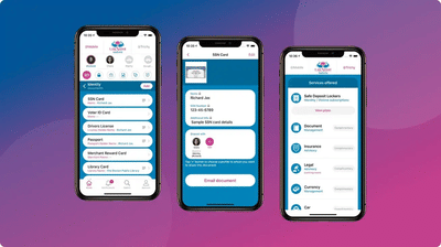 Lakshmi Vaults - Data Consulting
