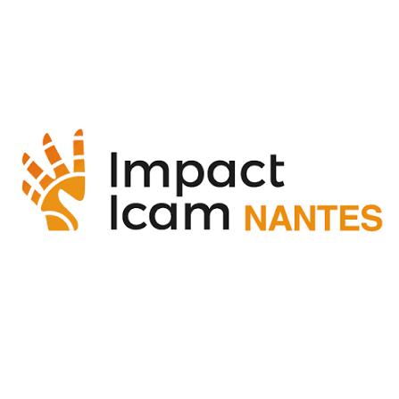 Impact Icam