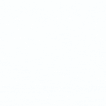 Bryan srl logo