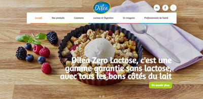 Brand Website - Rédaction et traduction