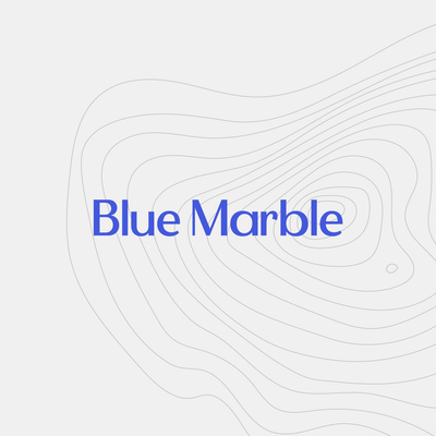 Blue Marble - Branding & Website - Graphic Design