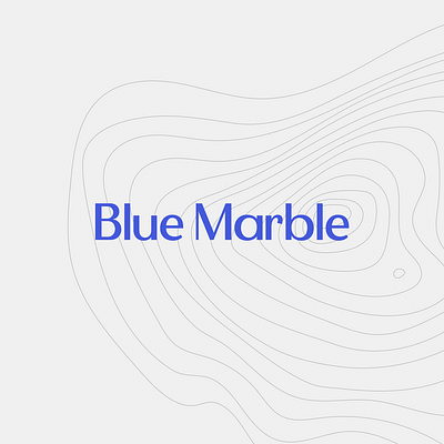 Blue Marble - Branding & Website - Graphic Design
