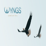 Wyngs