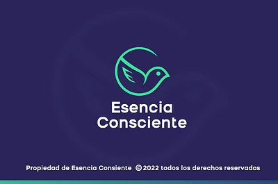 Concepto de Marca - Branding & Positioning