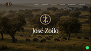 Ibericos Jose Zoilo/Web Moderna con E-Comerce - Creación de Sitios Web