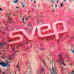 Svep Studios