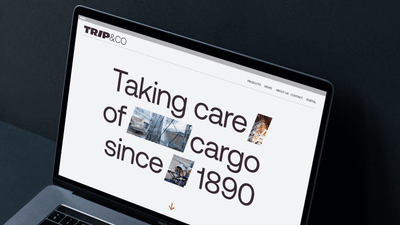 New logo, new heights - branding for Trip & Co - Content Strategy