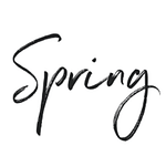 Spring Interactive logo