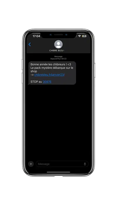 Création d'une campagne SMS pour le Chibre Bleu - Marketing