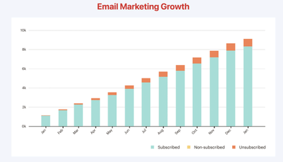 CASE STUDY: EMAIL MARKETING - E-Mail-Marketing