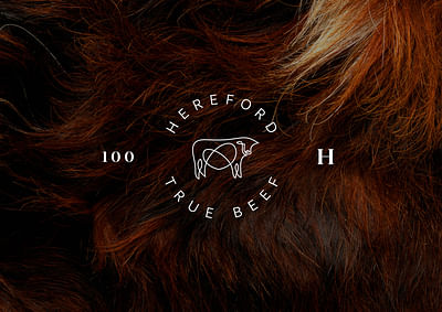 Hereford True Beef | Naming and Brand Identity - Marketing