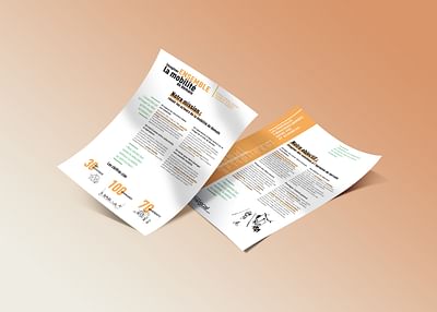 Fiches Transcité-Transdev - Graphic Identity
