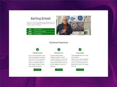 Barling School | Proyecto de Marketing 360 - Redes Sociales