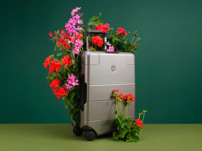Victorinox | Strategy and content creation - Marketing