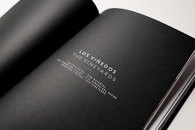 Diseño editorial para Bodegas Aalto