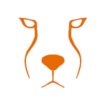 Acinonyx Web Agency logo