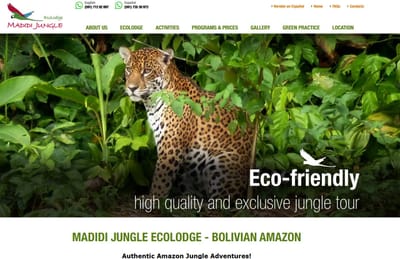 Madidi Jungle Ecolodge - Création de site internet