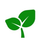 Organic SEO Expert logo