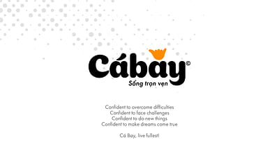 Cá Bay Branding & Packaging - Branding & Positionering