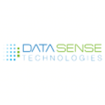Datasense Technologies logo